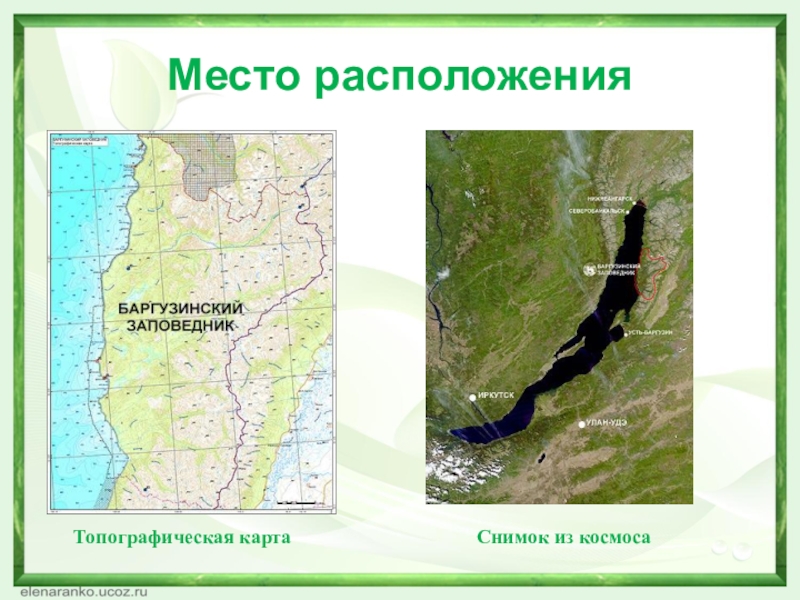 Проект баргузинский заповедник 4 класс