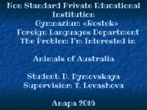 Презентация по теме Животные Австралии