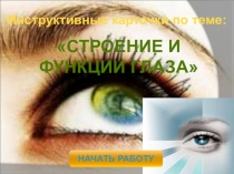 Практическая работа  Строение и функции глаза