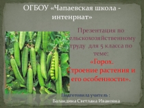 Презентация по технологии на темуГорох. Строение растения и его особенности. 5 класс