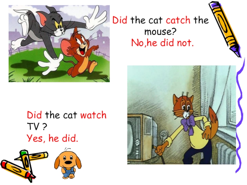Did the cat catch the mouse?No,he did not.Did the cat watch TV ?Yes, he did.