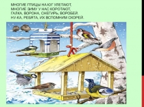Презентация к конспекту НОД в старшей группе на тему Зимующие птицы