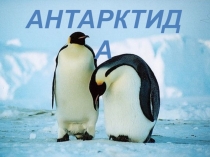 Презентация к уроку на тему: Антарктида 4 класс