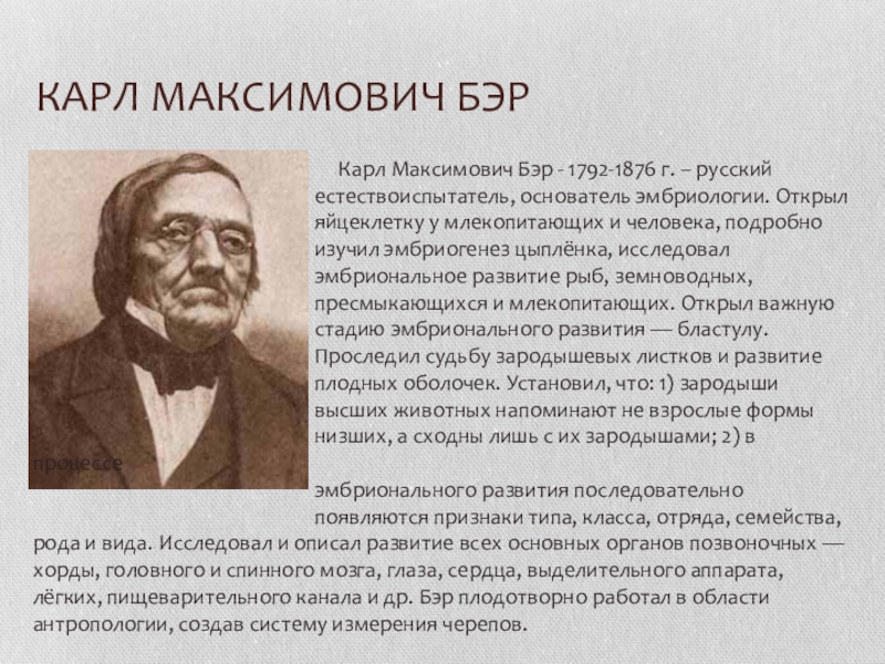 Бэр это. Карл Максимович Бэр (1792-1876. Карл Бэр открытия в биологии. Карл Бэр заслуги.