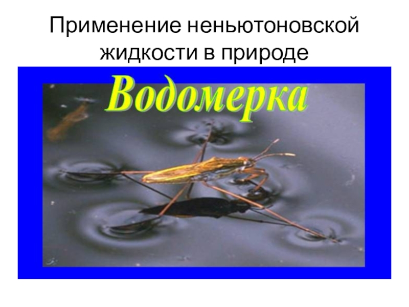 Применение жидкости. Применение неньютоновских жидкостей. Неньютоновская жидкость в природе. Классификация неньютоновских жидкостей. Неньютоновская жидкость применение в технике.