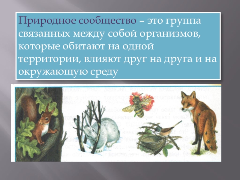 Охрана живых организмов и природных сообществ 6 класс презентация