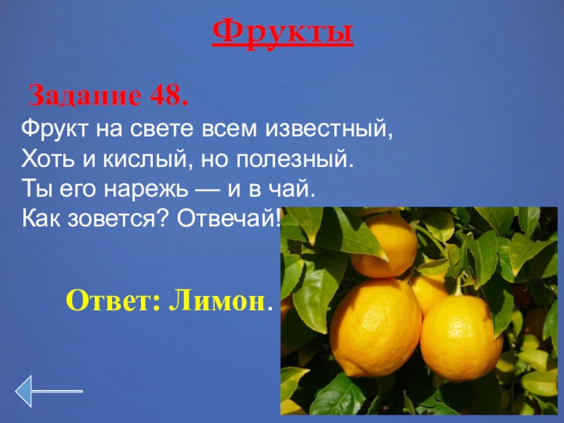 Мандарин на белом фоне. Мандарин фрукты задача. Описать мандарин. Мандарин турция танжерин. Мандарин фрукты задача.