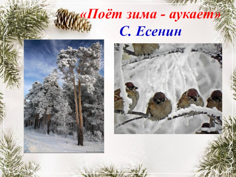 Поет аукает. Есенин зима аукает. Поет зима, аукает. Сергей Александрович Есенин поет зима аукает. Картина к стихотворению поет зима аукает Есенин.