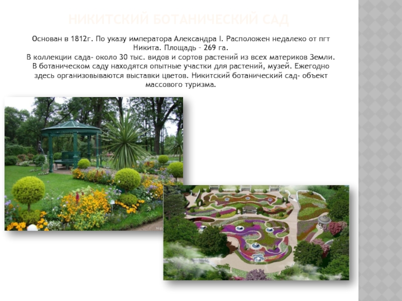 Никитский ботанический садОснован в 1812г. По указу императора Александра I. Расположен недалеко от пгт Никита. Площадь –