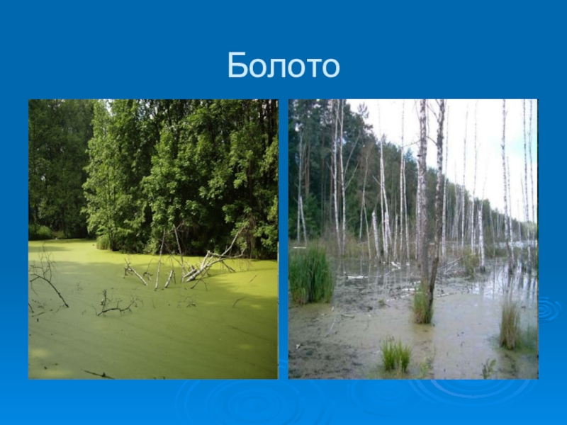 Вода распространение