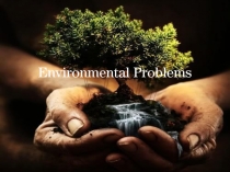 Открытый урок Экологические проблемы