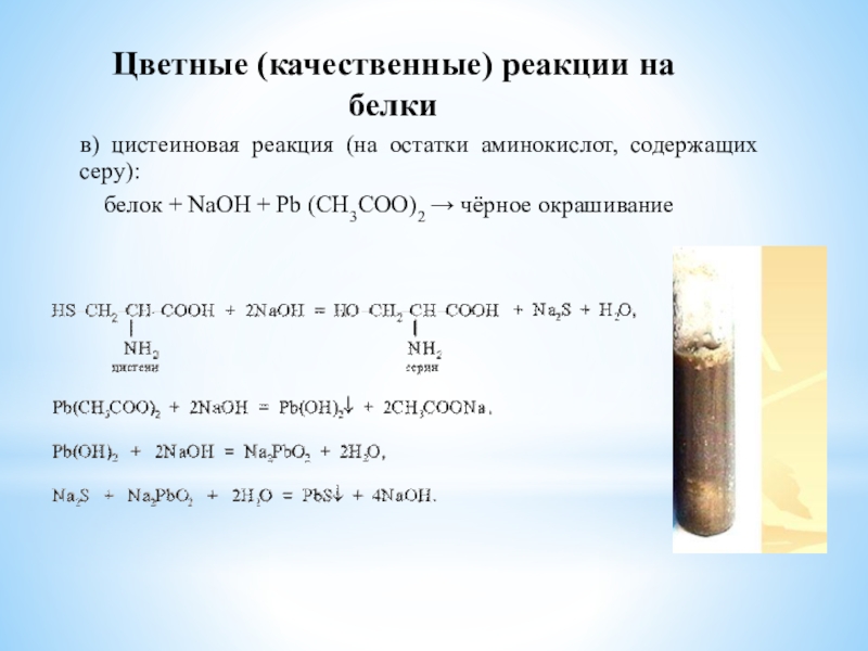 Pb nh3 2. Как определить белок уравнение реакции. Цистеиновая реакция. Реакция с ацетатом свинца. Качественная реакция на белки цистеиновая.