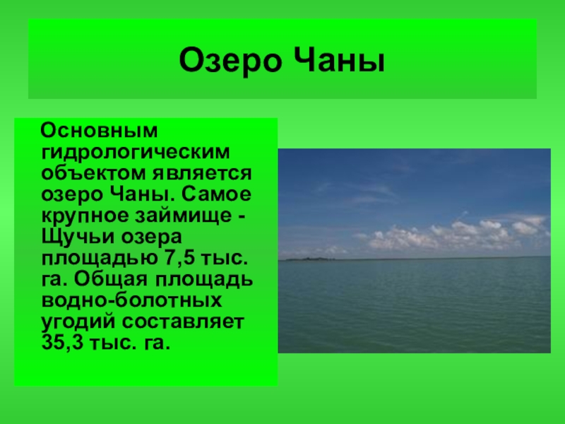 Какие водные объекты находятся в новосибирской области. Озеро Чаны Новосибирская область. Самые крупные озера Новосибирской области. Озеро Чаны презентация. Водоемы Новосибирской области презентация.