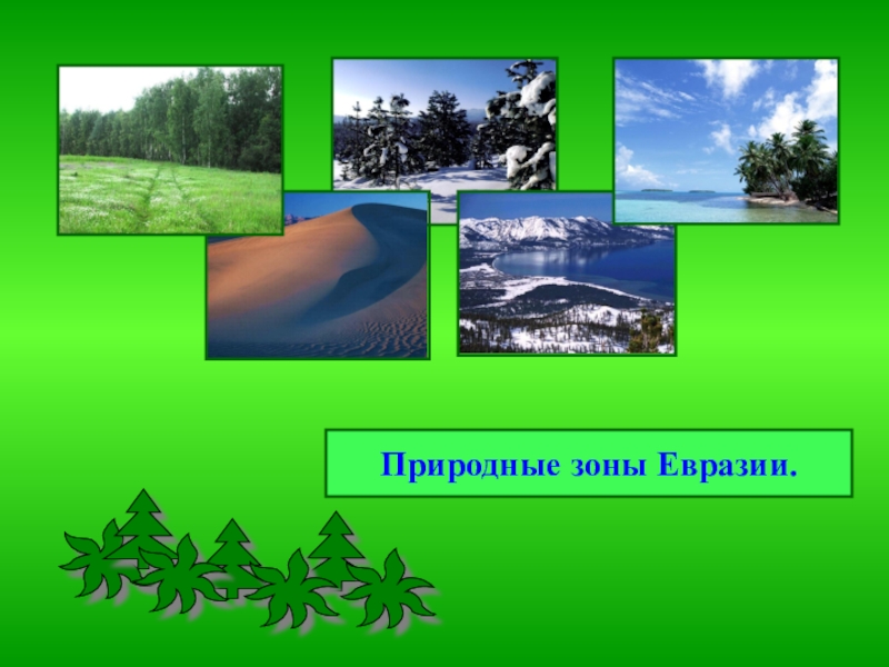 Презентация по географии на тему Природные зоны Евразии( 7 класс)