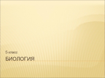 Презентация к уроку биологии Биология и практика (5 класс)