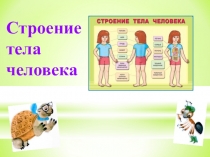 Презентация к уроку окружающего мира во 2 классе по программе Школа России на тему Строение тела человека