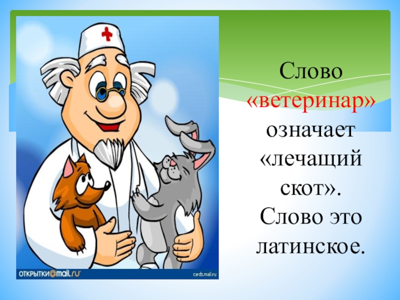 Лечить это значит. Ветеринар слово. Ветеринар что означает слово. Текст про ветеринара. Слово ветеринар от латинского означает.