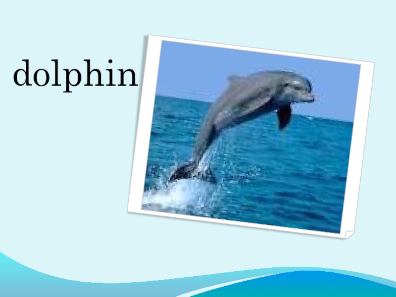 Звук в слове дельфины. Спасибо за внимание для презентации с дельфинами. Презентация про дельфинов 5 класс. Ответы на игру море слов Дельфин. Дельфин 744 текст.