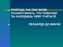 Презентация по биологии Биомиметика (11 класс)