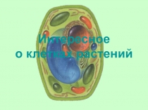 Презентация по биологии на тему: ...это интересно (о клетках растений