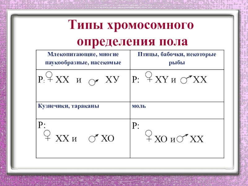 Хромосомное определение пола презентация 10 класс