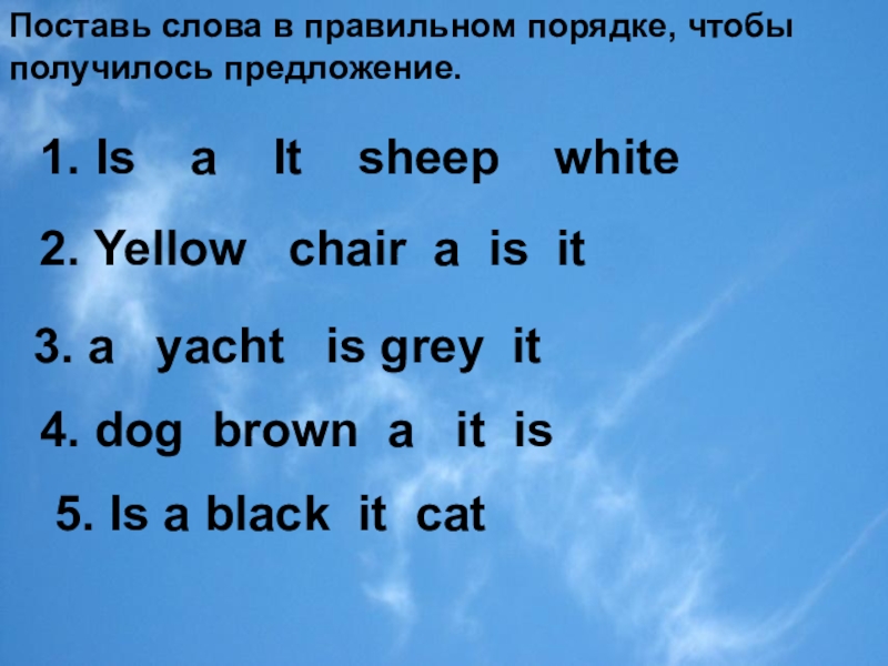 Расставь слова в правильном порядке was