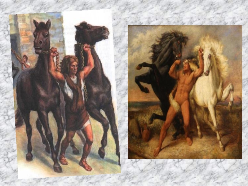 Кони диомеда. Геракл и кони Диомеда. Кони Диомеда подвиг Геракла. Восьмой подвиг: кони Диомеда. 8 Подвиг Геракла кони Диомеда.