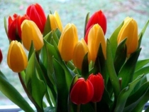 Праздник День Матери с презентацией