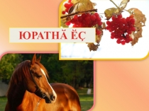 Мультимедийная презентация по чувашскому языку по теме Любимое занятие для 3 класса