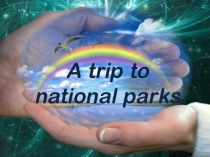 A Trip to National Parks