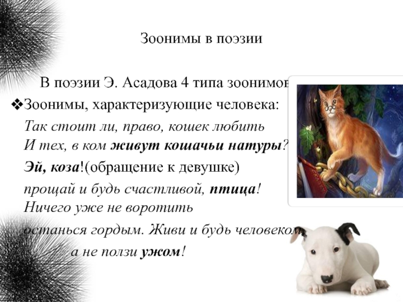 Зоонимы в поэзии  В поэзии Э. Асадова 4 типа зоонимов:Зоонимы, характеризующие человека:Так стоит ли, право, кошек