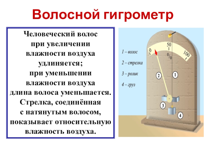 Увеличение влажности. Гигрометр волосной влажность и. Гигрометр на человеческом волосе. Волос при гигрометре. Относительная влажность воздуха гигрометр.