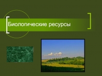 Презентация по географии на тему Биологические ресурсы России ( 8 класс)