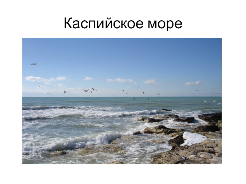 Рисунок каспийского моря