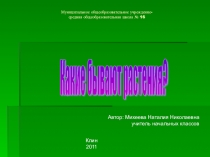 Урок презентация Виды растения