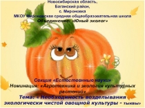 Презентация по экологии Необходимость возделывания экологически чистого продукта