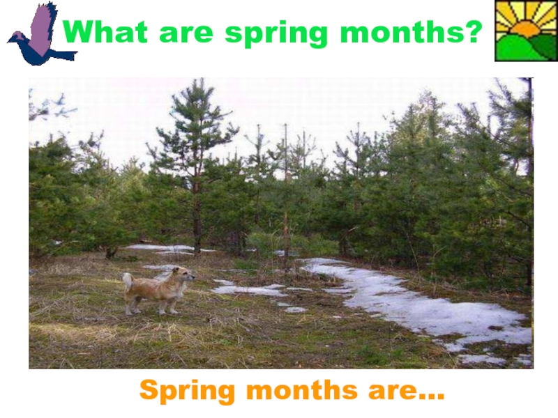 What are spring months?Spring months are…