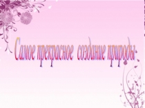 Презентация по биологии 6 кл на тему Строение цветка