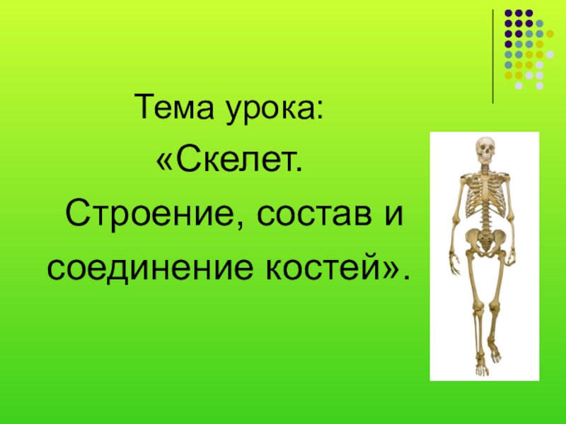 Bone 8. Строение состав и соединение костей. Кости для презентации. Скелет человека строение состав и соединение костей. Строение состав и соединение костей 8 класс.
