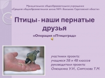 Презентация по окружающему миру Птицы - наши пернатые друзья