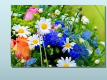 Презентация по биологии Размножение организмов (6 класс)