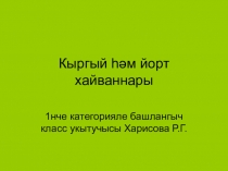 Презентация Кыргый һәм йорт хайваннары