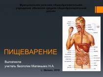 Презентация к уроку по биологии Пищеварение (8 класс). Инклюзия