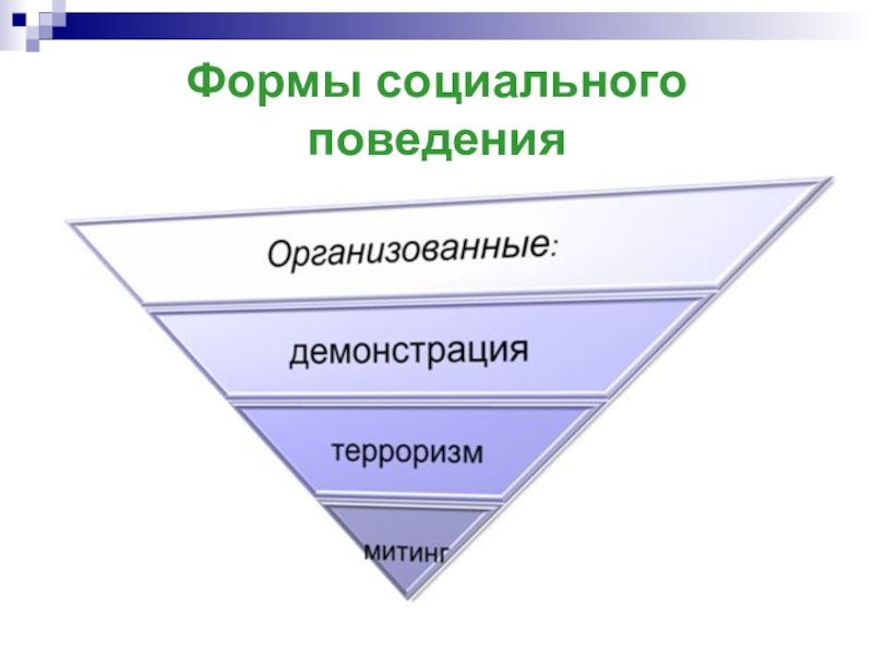 Развитие социального поведения. Формы социального поведения. Формы общественного поведения. Уровни и формы социального поведения. Организованная форма социального поведения.