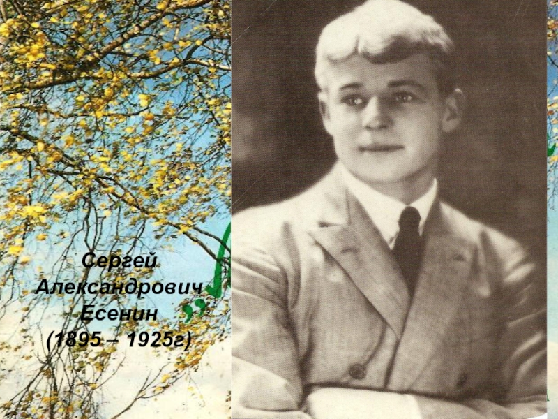 Жизнь и творчество есенина 5 класс. Сергей Есенин 1925. Сергей Александрович Есенин (1895—1925). Я люблю родину я очень люблю родину Есенин. Люблю Отчизну я Есенин.