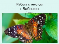 Работа с текстом  Бабочки 1 класс