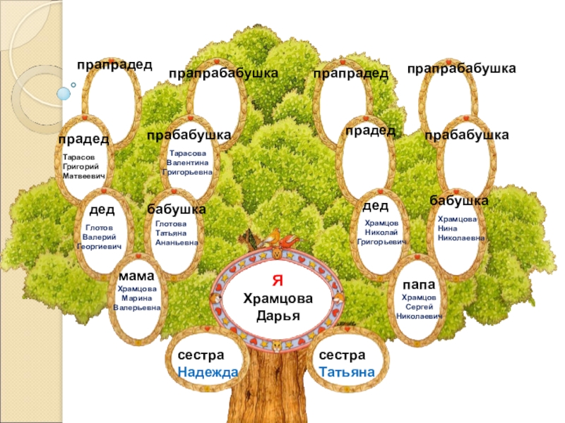 Проект моя родословная 3 класс кубановедение образец