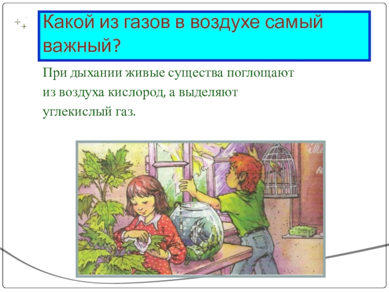 Какой газ самый. Какой ГАЗ В воздухе самый важный. Какой из газов в воздухе самый важный. Живые существа при дыхании. Какой ГАЗ выделяют при дыхании живые существа.