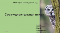 Презентация для занятий по ознакомлению с окружающим миром в разновозрастной группе ДОУ Сова-удивительная птица