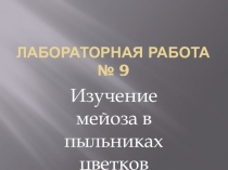 Лабораторная работа №9 Изучение мейоза в пыльниках цветковых растений